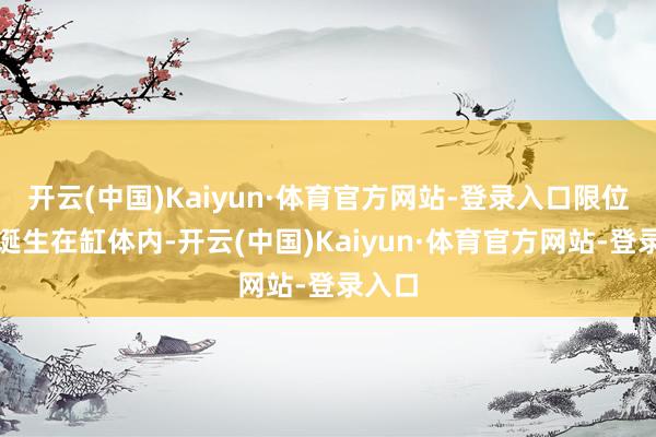 开云(中国)Kaiyun·体育官方网站-登录入口限位组件诞生在缸体内-开云(中国)Kaiyun·体育官方网站-登录入口