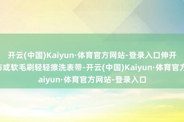 开云(中国)Kaiyun·体育官方网站-登录入口伸开剩余52%用软布或软毛刷轻轻擦洗表带-开云(中国)Kaiyun·体育官方网站-登录入口
