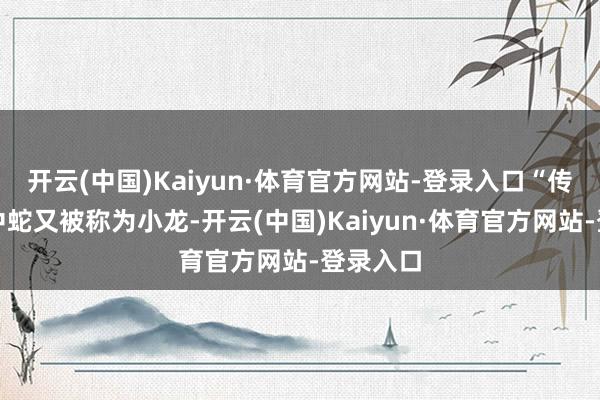开云(中国)Kaiyun·体育官方网站-登录入口“传统文化中蛇又被称为小龙-开云(中国)Kaiyun·体育官方网站-登录入口