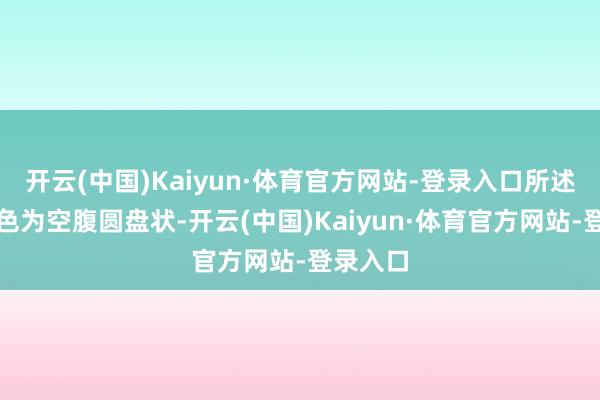 开云(中国)Kaiyun·体育官方网站-登录入口所述砂轮本色为空腹圆盘状-开云(中国)Kaiyun·体育官方网站-登录入口