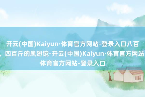 开云(中国)Kaiyun·体育官方网站-登录入口八百斤的大锤、四百斤的凤翅镋-开云(中国)Kaiyun·体育官方网站-登录入口